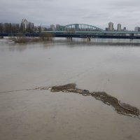 Visoki vodostaj Save