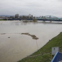 Visoki vodostaj Save