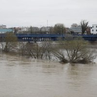 Visoki vodostaj Save