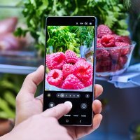 Samsung Galaxy S25_Camera_Macro