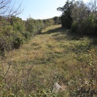 Čavoglave i rodna kuća Marka Perkovića Thompsona