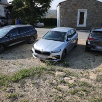 Privođenje Jelene Perossa