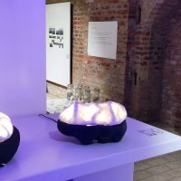 Otvorenje izložbe Drava Art Biennala 'Nestanak vode - Apokalipsa ili prilika?'