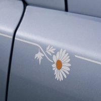 Rolls-Royce Black Badge Cullinan Daisy