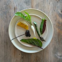 Nicolai Nooregaard - Kadeau