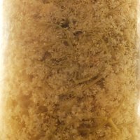 Nicolai Nooregaard - Kadeau