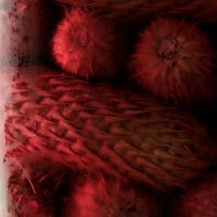 Nicolai Nooregaard - Kadeau