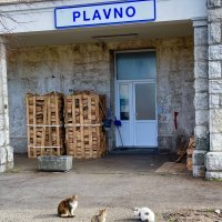 Plavno 01