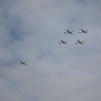 AIRVG2025 - Zrakoplovni dan u Velikoj Gorici