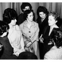 Ostavština Žuži Jelinek