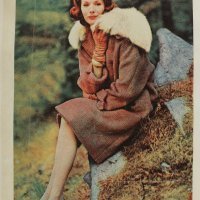 Ostavština Žuži Jelinek