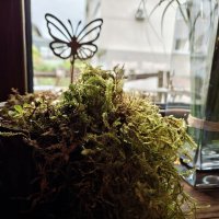 Razr 60 Ultra primjeri fotografija