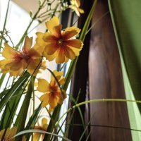 Razr 60 Ultra primjeri fotografija