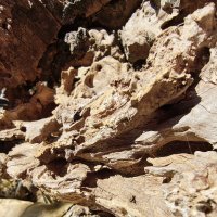 Razr 60 Ultra primjeri fotografija