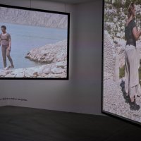 Andreja Kulunčić