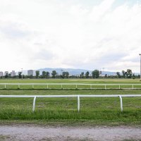 Počeli su radovi za Thompsonov koncert na Hipodromu