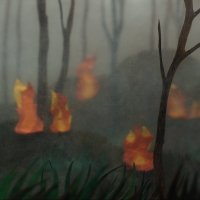 Kako takvi požari gore pod zemljom__How are these fires burning underground