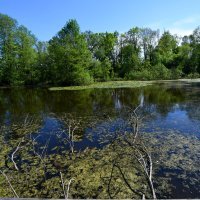 Čazma - šetnica Medjame
