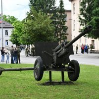 Svečana prisega 46. naraštaja ročnika na dragovoljnom vojnom osposobljavanju u vojarni 123.brigade Hrvatske vojske