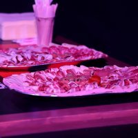 Atmosfera u stožeru Možemo! u večeri pobjede Tomislava Tomaševića