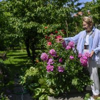 Vrt Ksenije Urličić