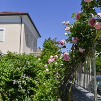 Vrt Ksenije Urličić