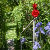 Vrt Ksenije Urličić