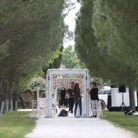 Vjenčanje Maje Šuput i Nenada Tatarinova
