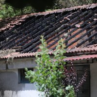 Požar na sinjskom hipodromu