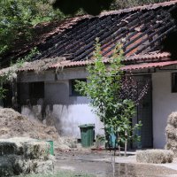 Požar na sinjskom hipodromu