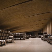 PERELADA-03_Hisao Suzuki