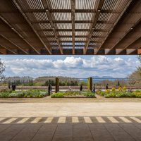 PERELADA-02_Hisao Suzuki