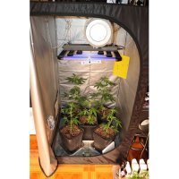 U kući i dvorištu u Gornjem Desincu pronađeno pet improviziranih laboratorija i razna droga