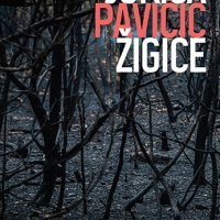 Zigice-346x553-1