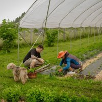 MILKA-photos-Lana-Špiler-205