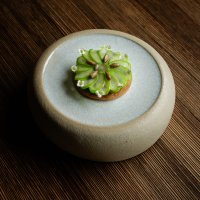 MILKA-photos-Lana-Špiler