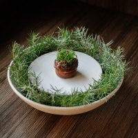 MILKA-photos-Lana-Špiler-42