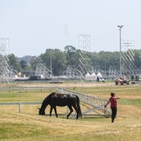 Pripreme za Thompsonov koncert, 19.6.