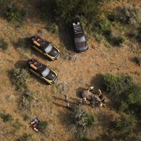 Land Rover Defender Trophy