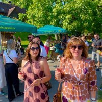 Vinogradi s pogledom