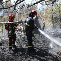 Požar pored Makarske