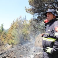 Požar pored Makarske