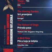 International Competition