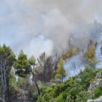 Buknuo požar na Velikom Brdu kod Makarske