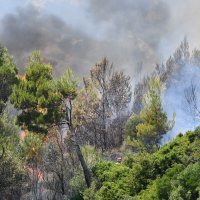 Buknuo požar na Velikom Brdu kod Makarske