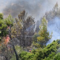 Buknuo požar na Velikom Brdu kod Makarske