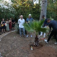 Sean Baker_sadnja palme_Dino Avdić