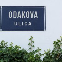 Policija provodi očevid nakon pada žene sa zgrade