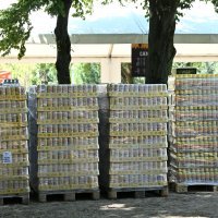 Fan zona na Hipodromu uoči Thompsonovog koncerta