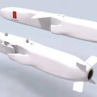 JSM je nastao iz protubrodskog projektila NSM